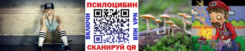 цены наркотик  Новая Усмань  Псилоцибиновые грибы Magic Shrooms 