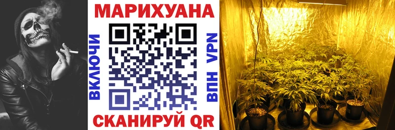 где найти   Новая Усмань  Конопля AK-47 